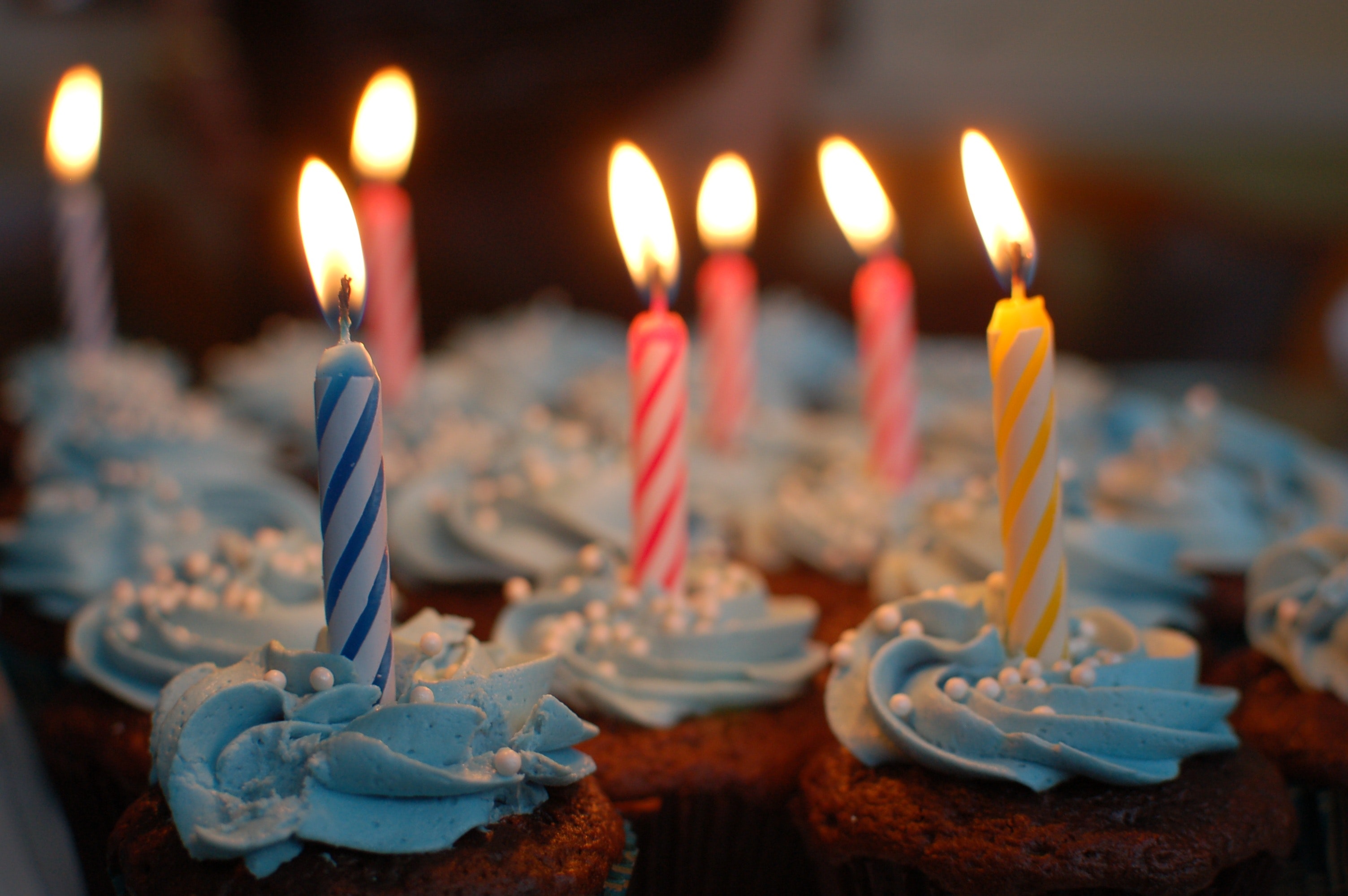 Franquia de Marketing Digital Echosis comemora aniversário de 8 anos!