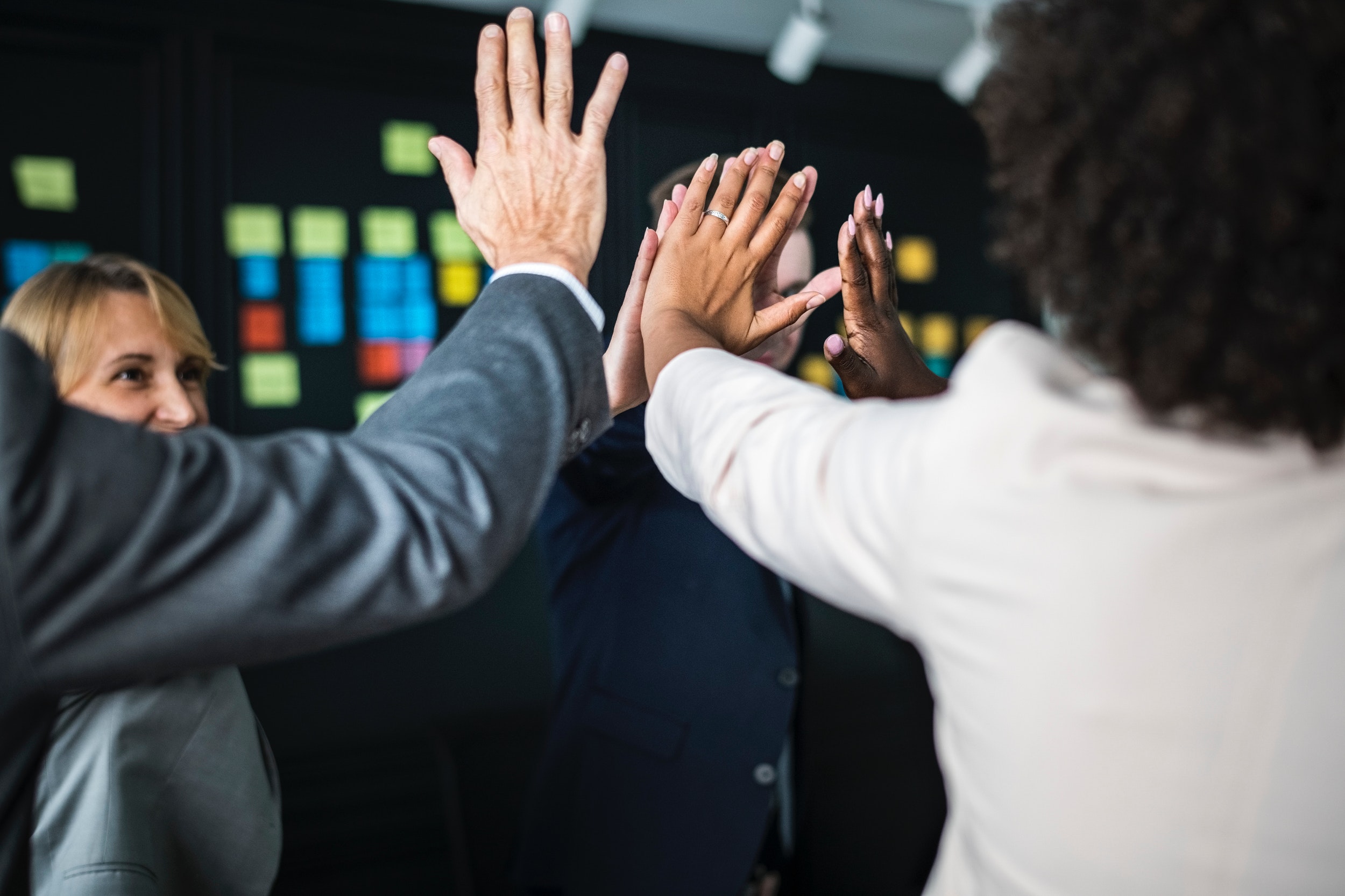 Franquia de Marketing Digital Echosis fecha o primeiro semestre com 10 novas unidades